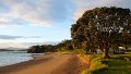 A (100) Whangaruru North Head